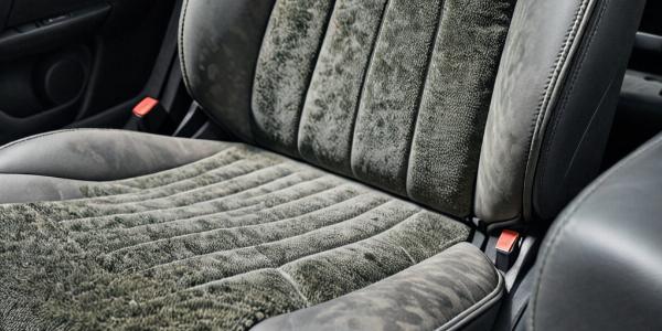 Professional stain removal treatment on car upholstery